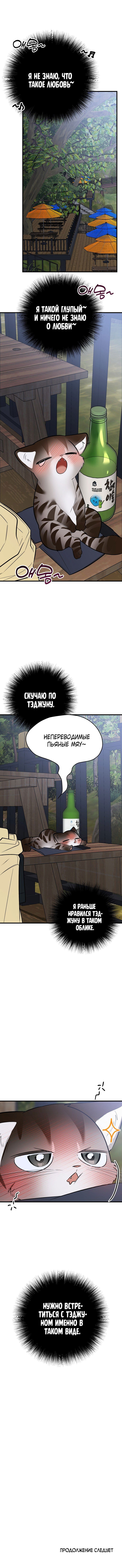 страница 12/12