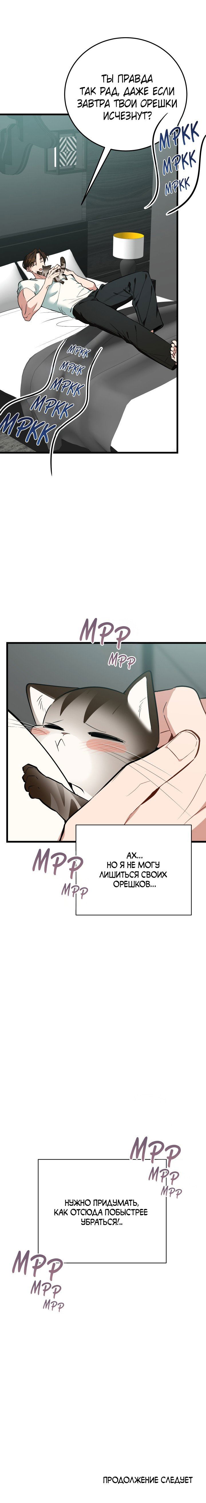 страница 12/12