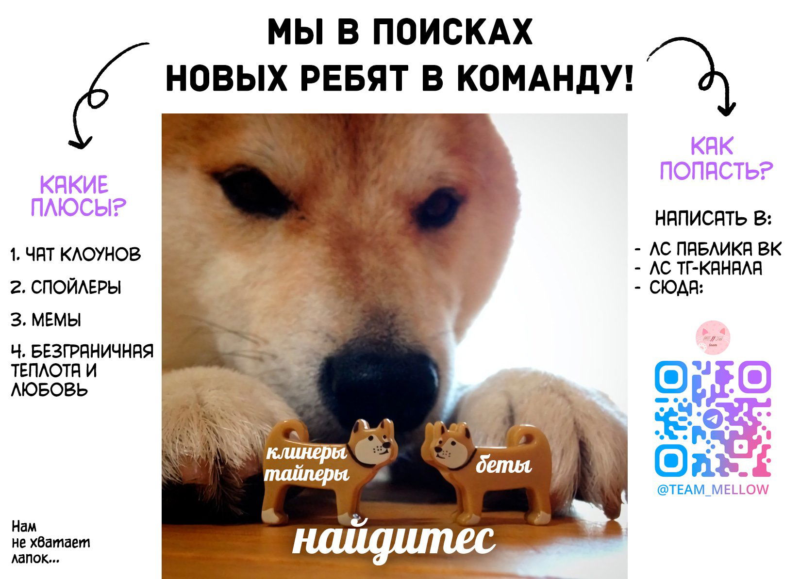 страница 1/19