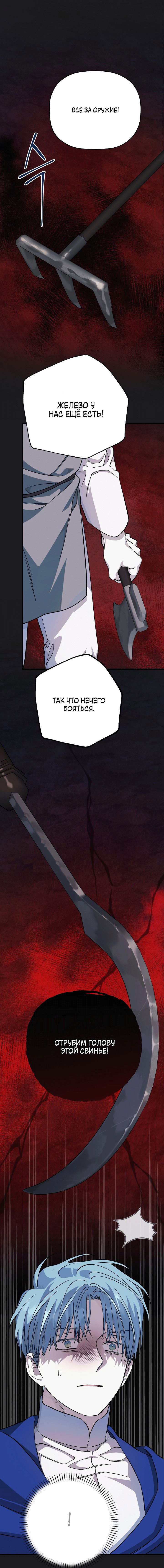 страница 5/17