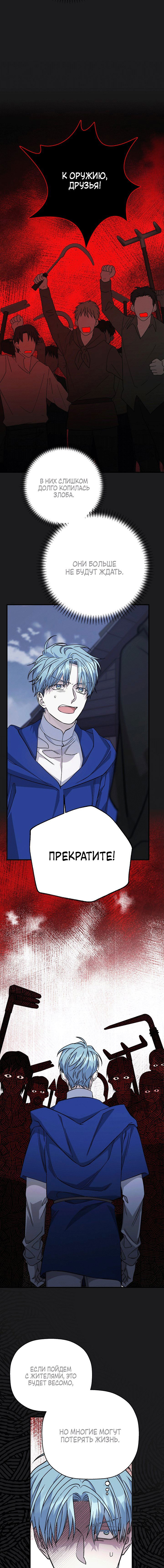 страница 6/17