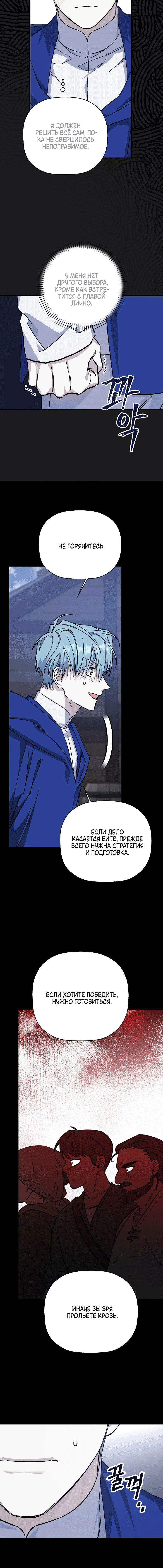 страница 7/17