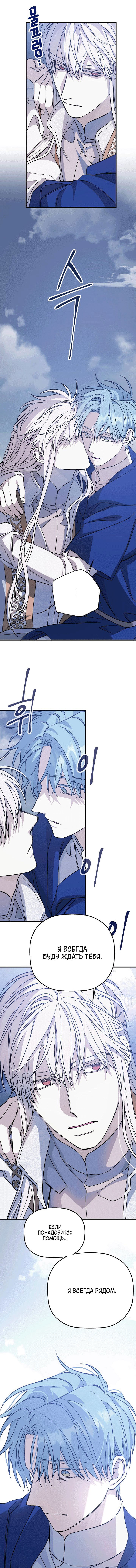 страница 11/17