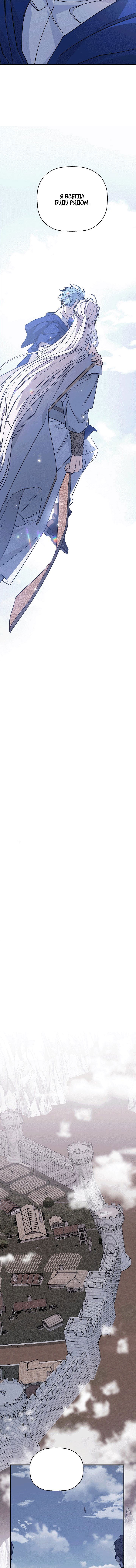 страница 12/17