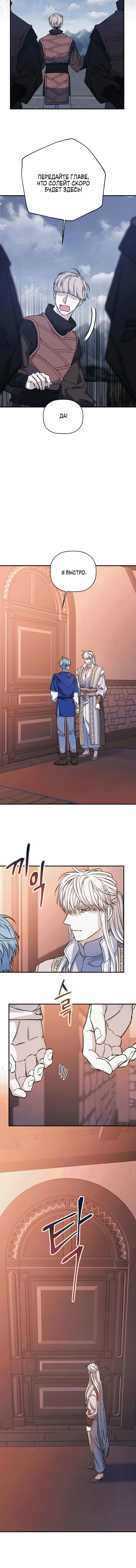 страница 13/17